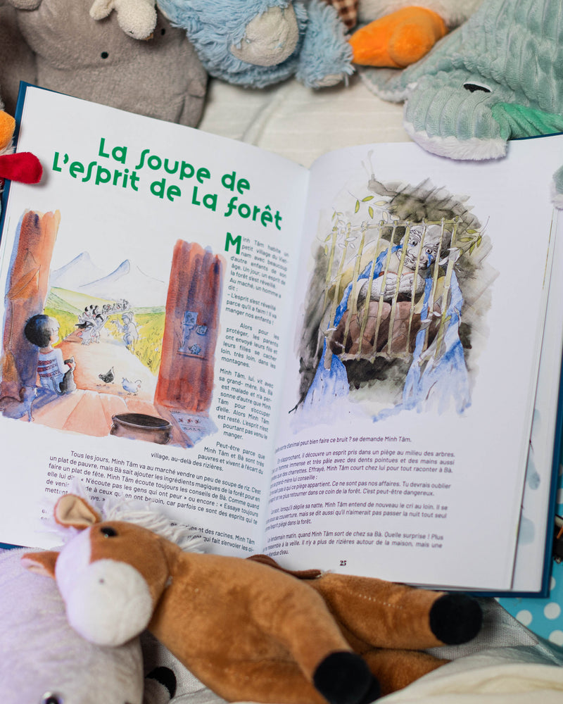 Les Contes du Mékong - Antoine et Mayalène Besson